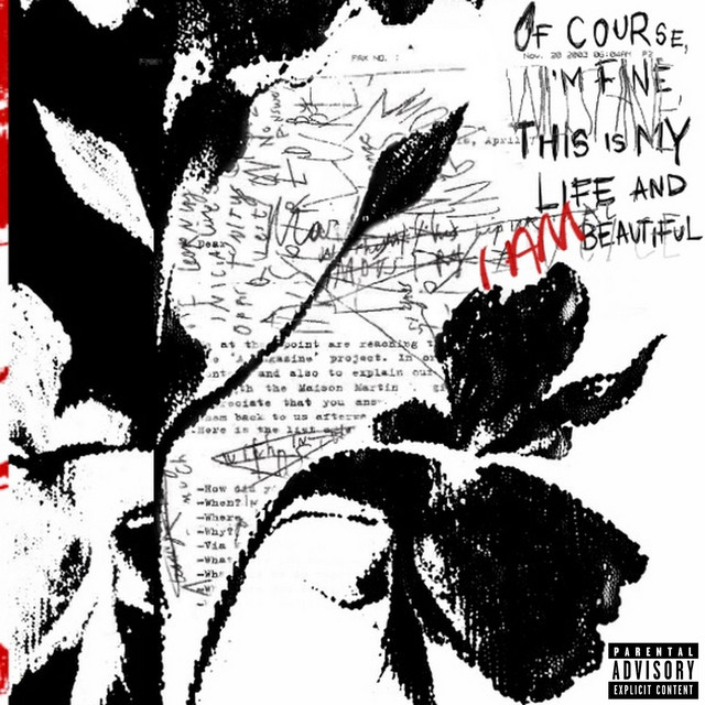 ugly and handsome cover art