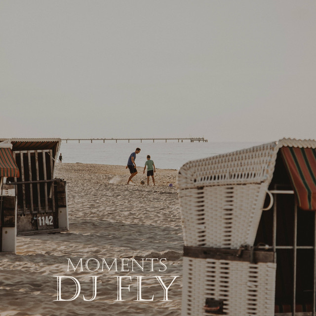 Moments - Single by Dj Fly | Spotify