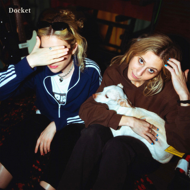 Docket cover art
