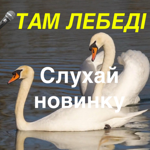 Обкладинка: Там лебеді — Музика і виконання Олександр Соколов