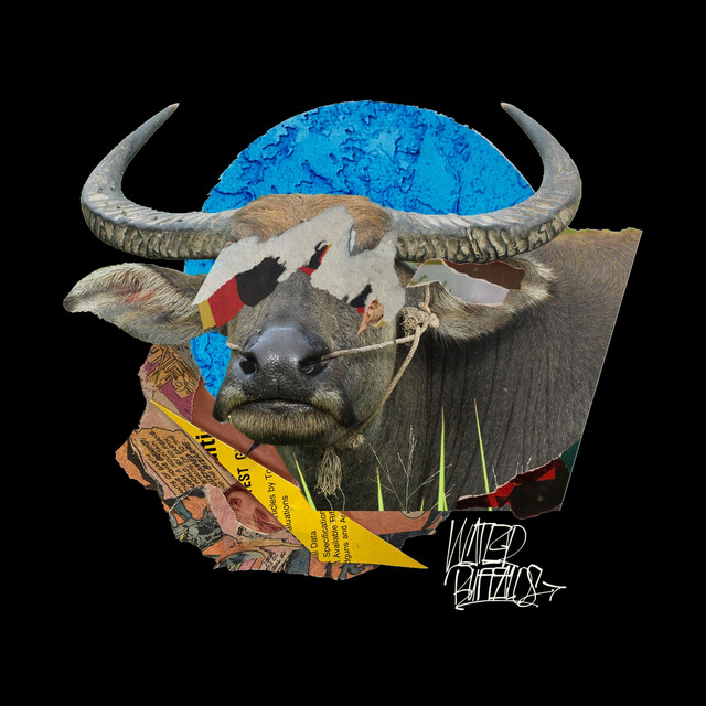 Water Buffalos cover art
