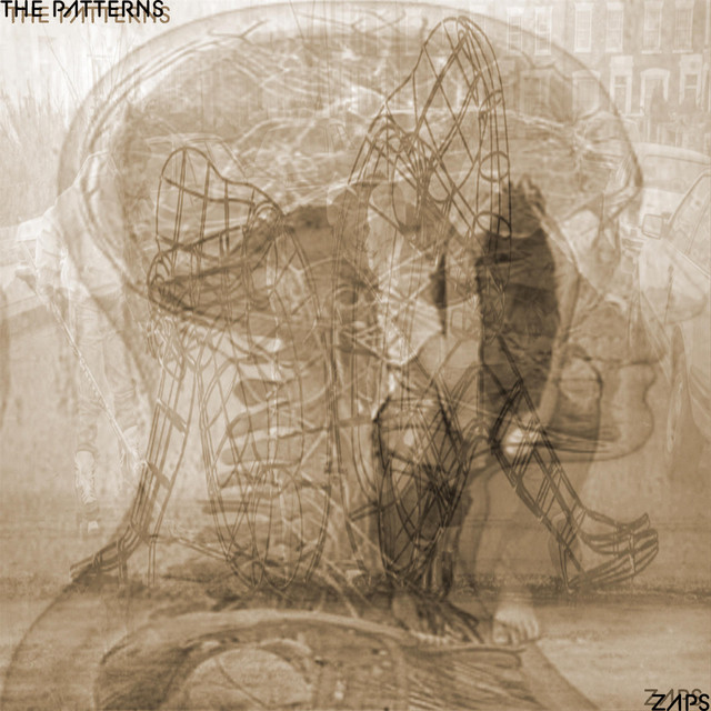 Zaps cover