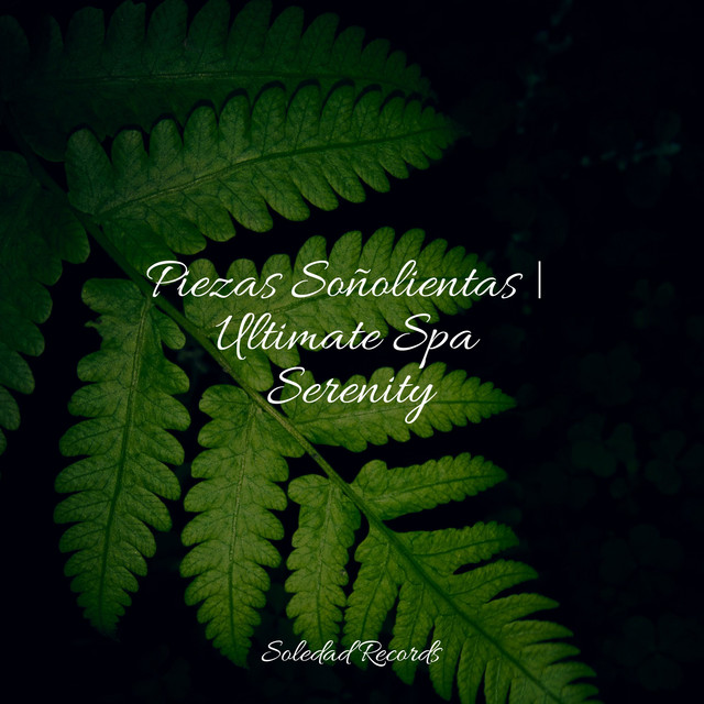 Piezas Soñolientas | Ultimate Spa Serenity