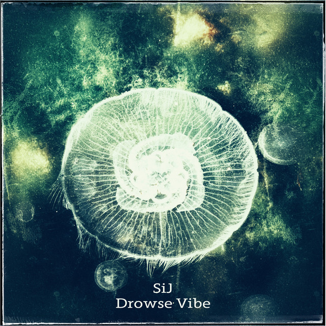 Обкладинка: Drowse Vibe — SiJ