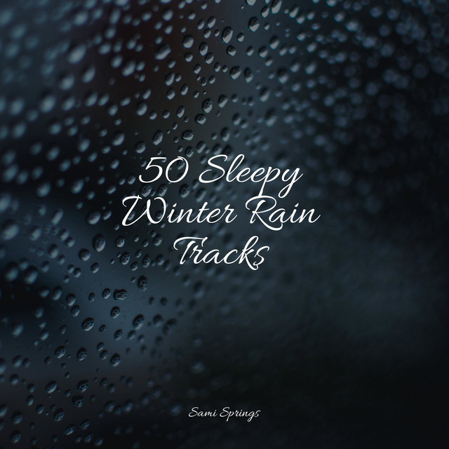 50 Sleepy Winter Rain Tracks - Album by Nature Music Pregnancy Academy ...