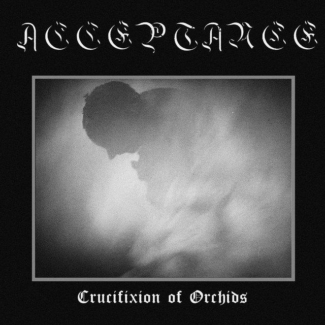 Acceptance