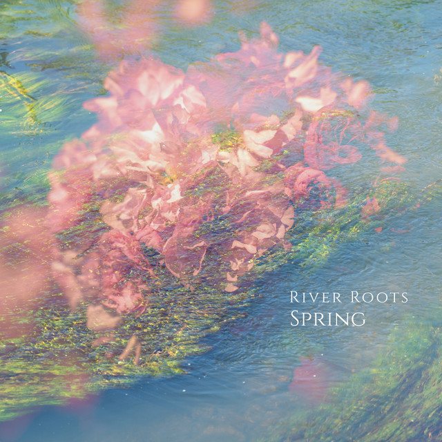 Spring cover