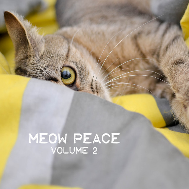 Meow Peace, Vol. 2 cover art