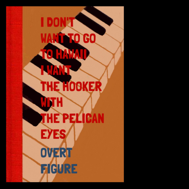 I Don't Want to Go to Hawaii I Want the Hooker With the Pelican Eyes cover art