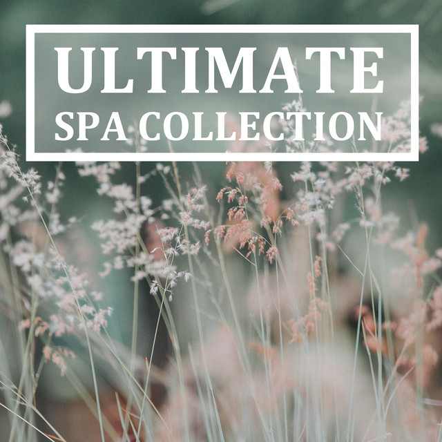 2018 An Ultimate Spa Collection cover art