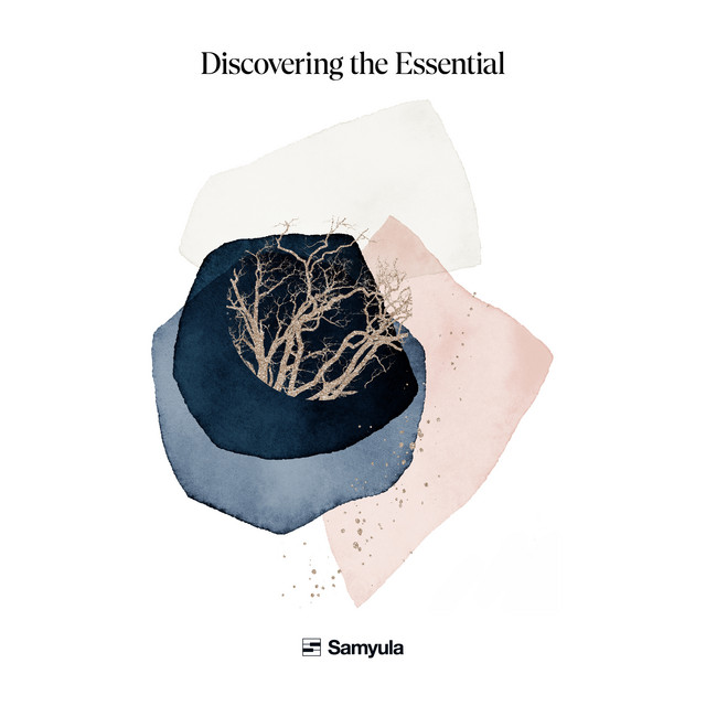 Discovering the Essential cover art