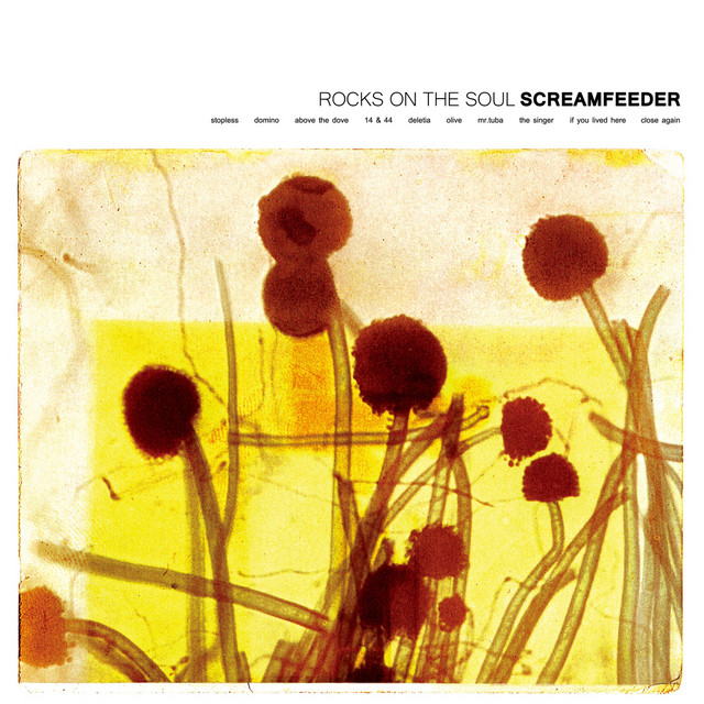 Rocks on the Soul (Deluxe) cover art