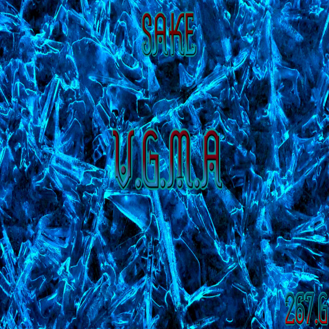 V.G.M.A cover