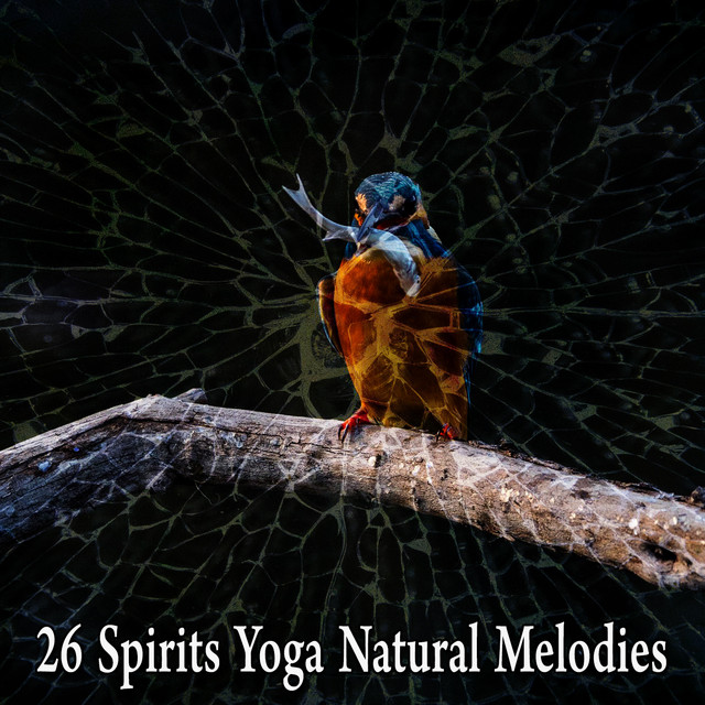 26 Spirits Yoga Natural Melodies - Album by Sleep Sounds of Nature ...