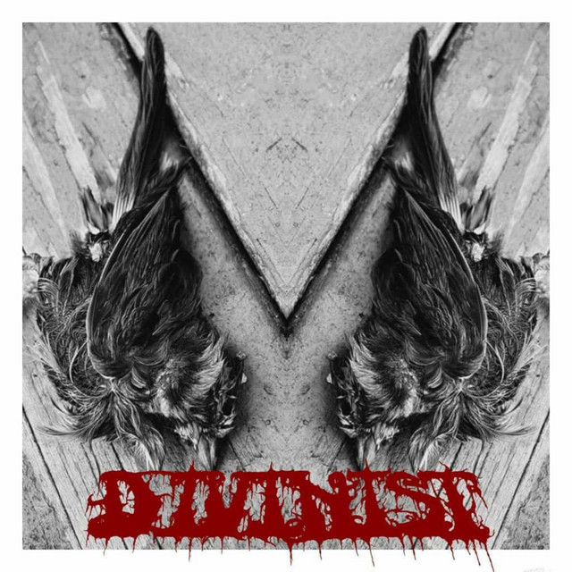 Divinist cover art