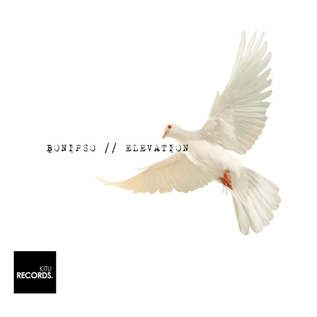 Elevation cover art