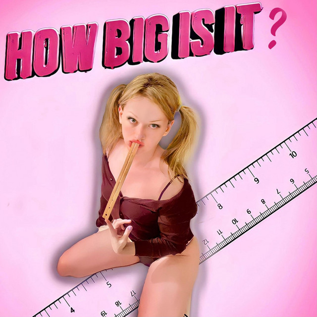 HOW BIG IS IT?