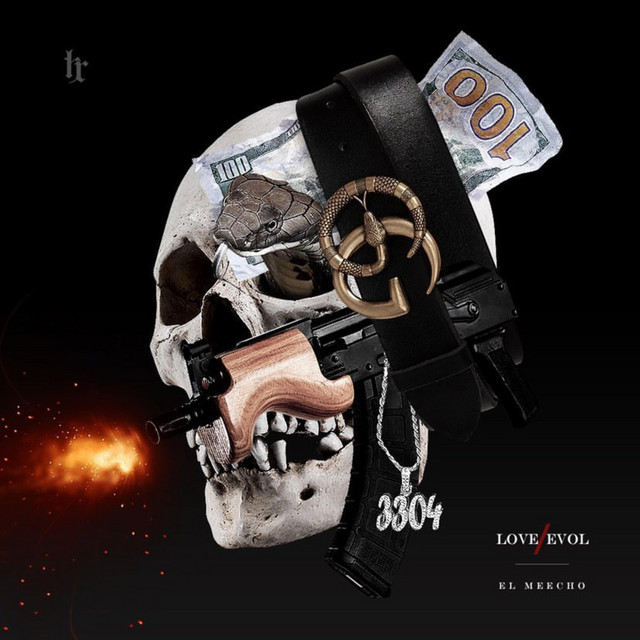 Love Evol cover art