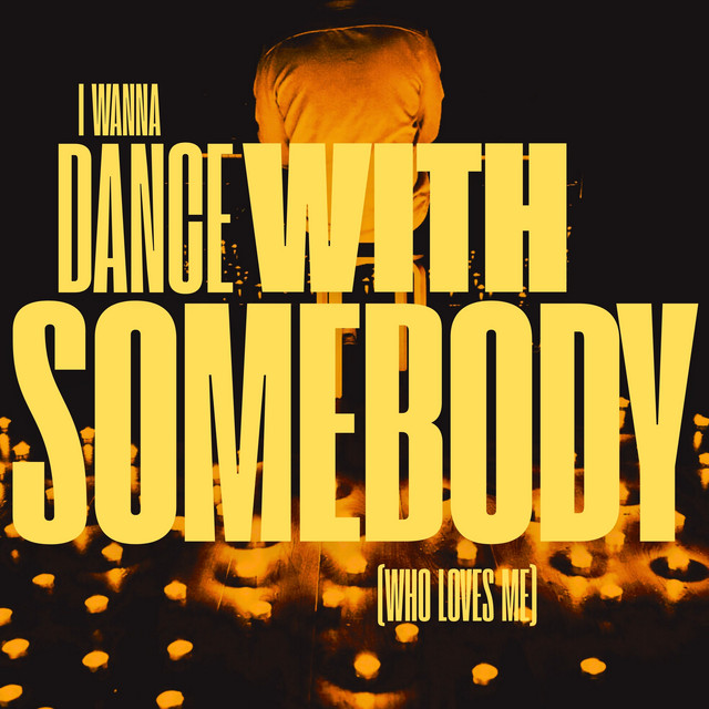 I Wanna Dance with Somebody (Who Loves Me) cover