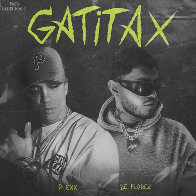 Gatitax