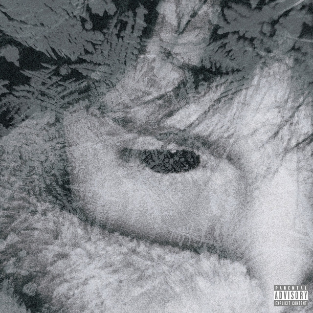 7 cover art