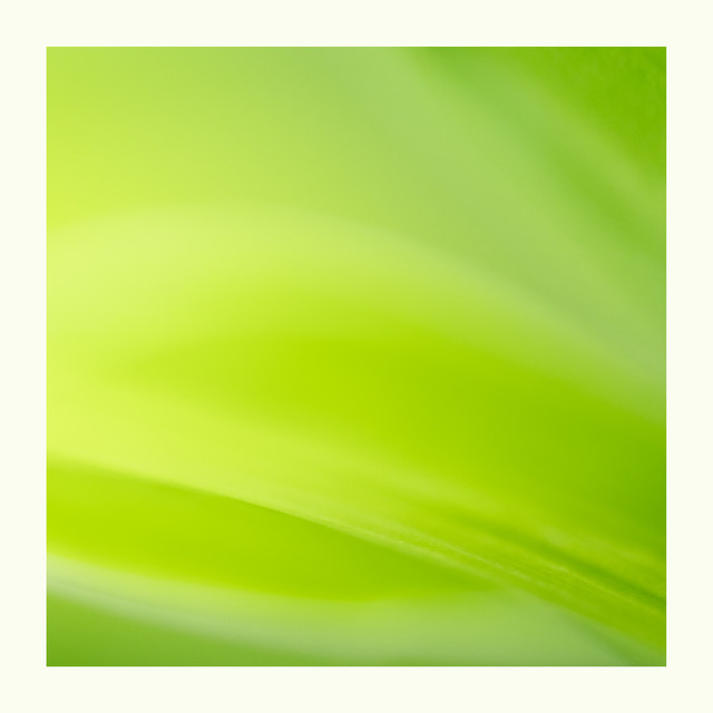 Best Green Noise For Sleep Or Focus (Loopable) cover art
