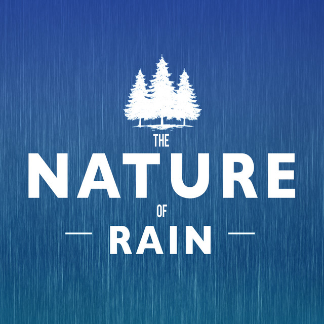 Night Rain