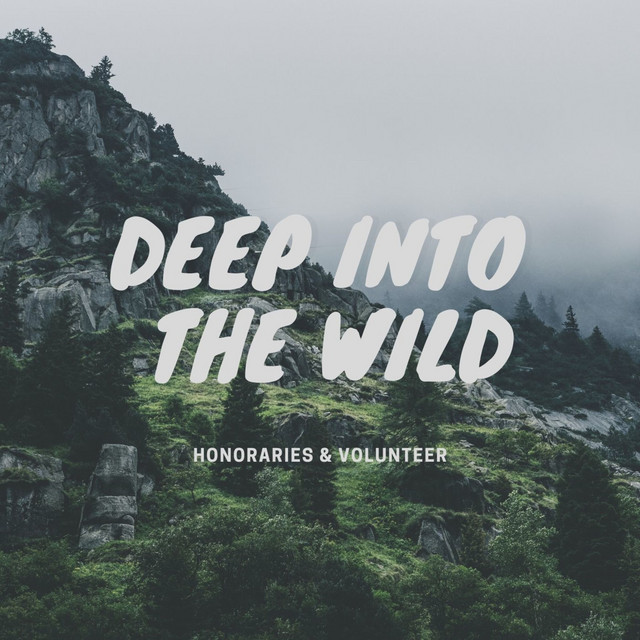 Deep Into The Wild cover art
