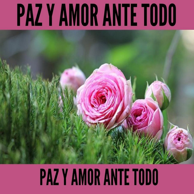 Paz Y Amor Ante Todo cover art