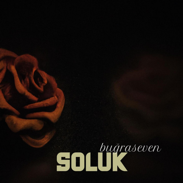 Soluk cover art