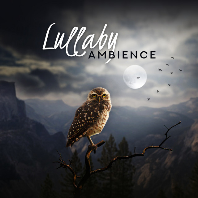 Lullaby Ambience - Sounds of Nature for Deep Sleep and Relaxation ...