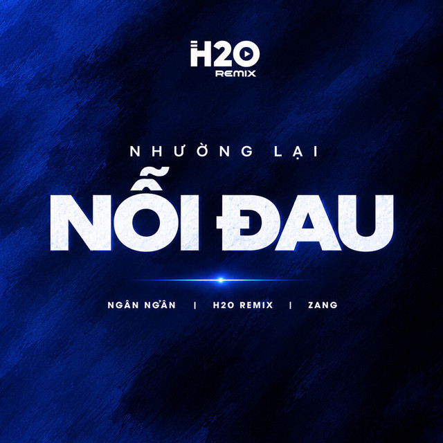 Nhường Lại Nỗi Đau (Remix) album image