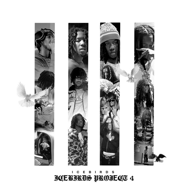 IceBirds Project 4 cover art