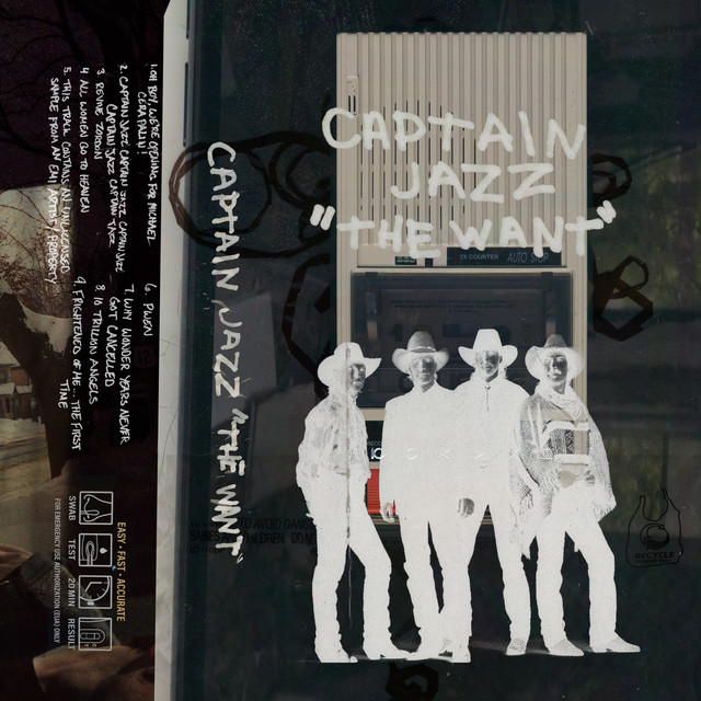 The Want cover art