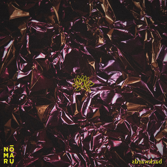 Backwards cover art