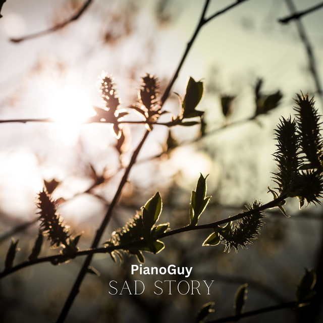Обкладинка: Sad Story — PianoGuy