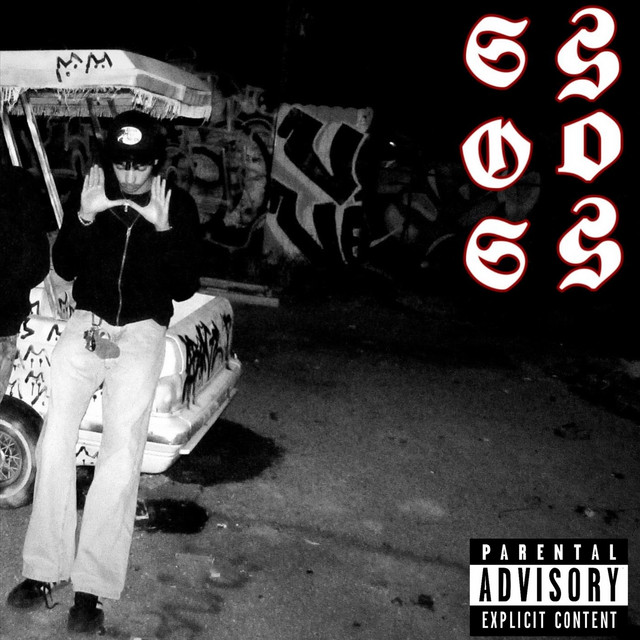 I AM MADE FOR THIS cover art