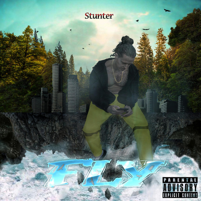 Fly - Single by Stunter | Spotify