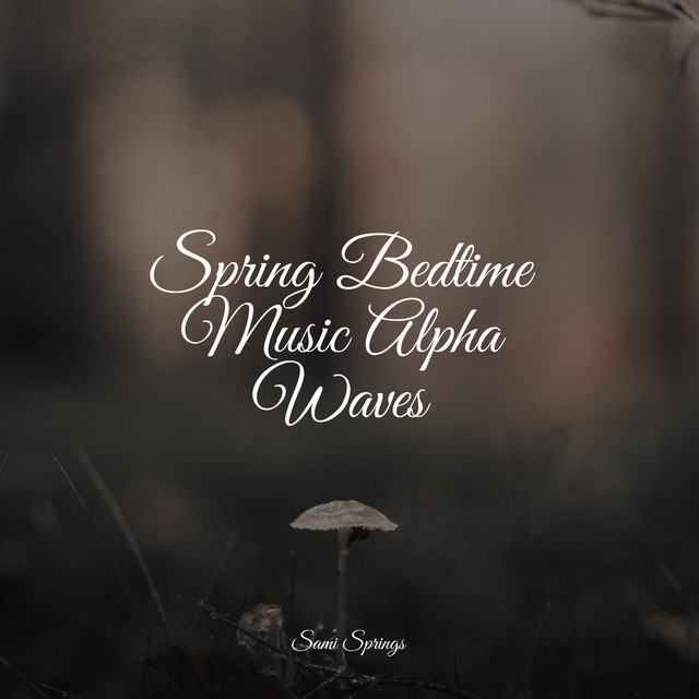 50 Calming Rain Sounds for Yoga - Album by Relaxing Nature Ambience ...