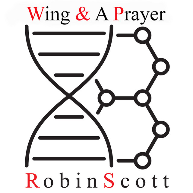 Wing & A Prayer cover art