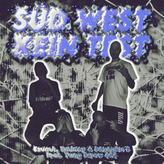 SÜD WEST KEIN TEST cover art