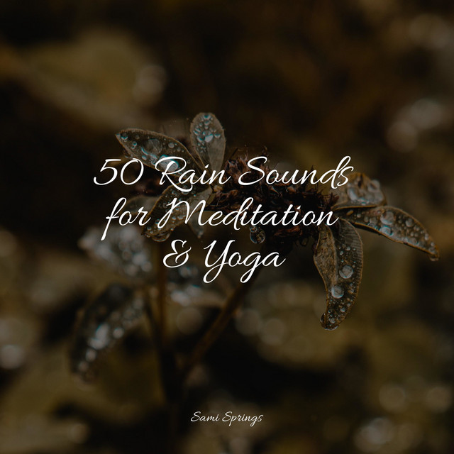 50 Rain Sounds for Meditation & Yoga - Album by Deep Sleep Relaxation ...
