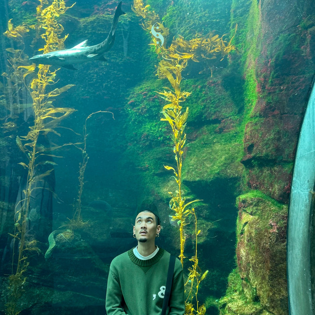 aquarium27 cover art