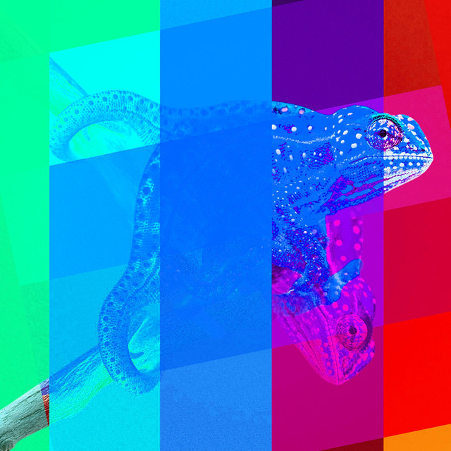 World of Colors cover art
