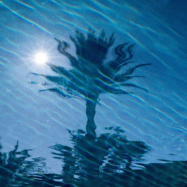 Palmen album image
