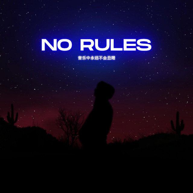 No Rules cover art