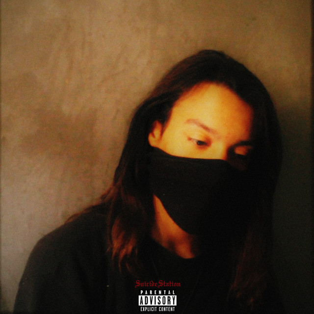 Garoto Interrompido cover art