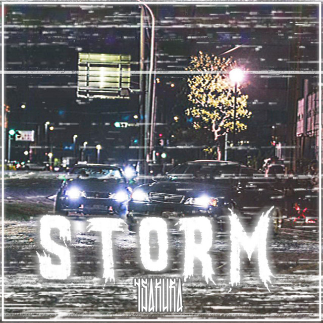 Storm cover art