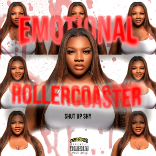 EMOTIONAL ROLLERCOASTER cover art