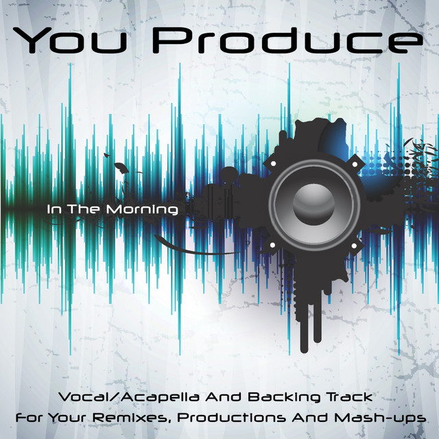 In the Morning (Backing Track) - In the Style of Razorlight
